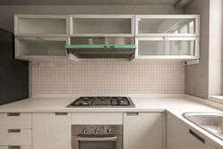 The Trumps (D14), Condominium #530643591